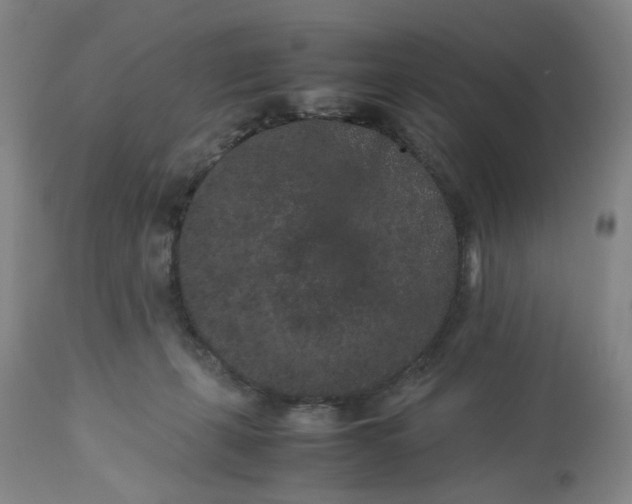 X0000113240271200909241554