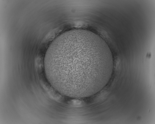 X0000113240272200909241554