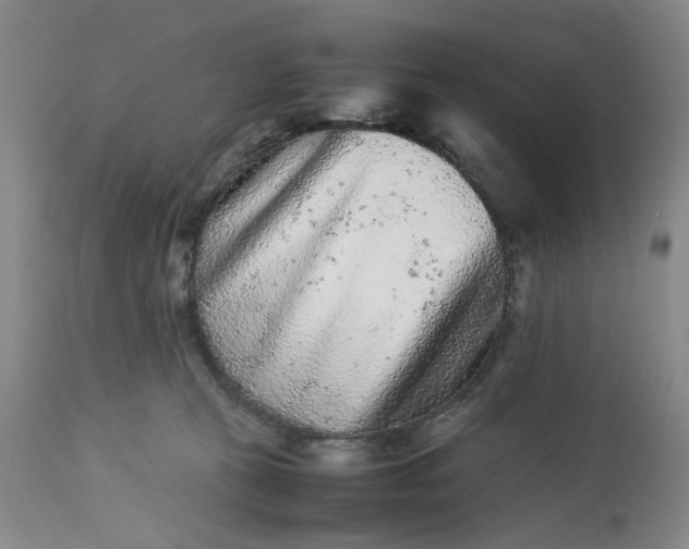 X0000113240273200909241554