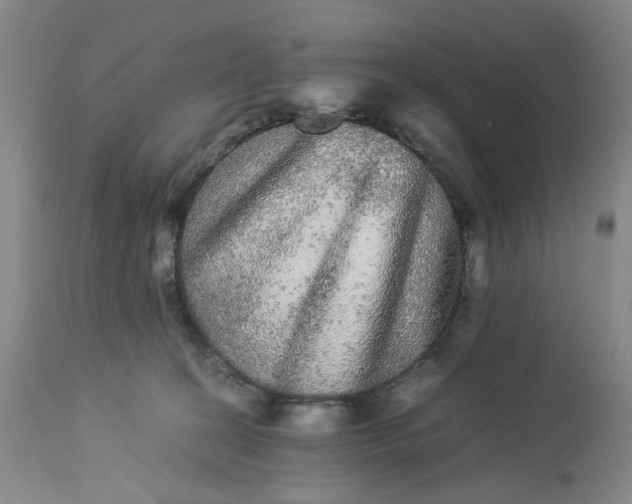 X0000113240274200909241554