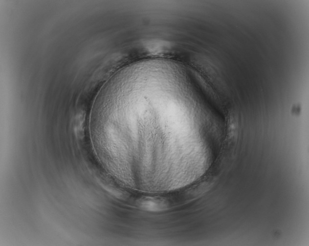 X0000113240275200909241554