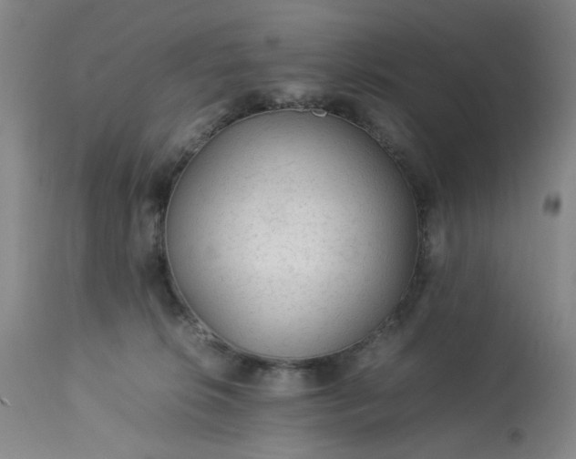 X0000113240276200909241554