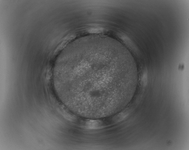 X0000113240277200909241554