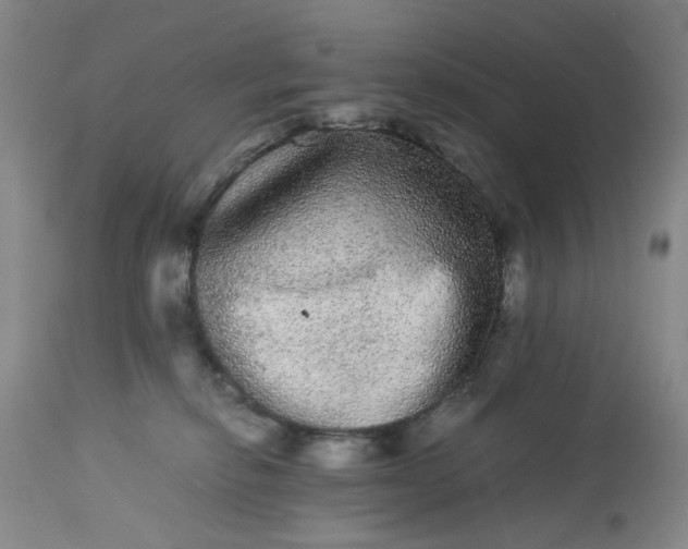 X0000113240278200909241554