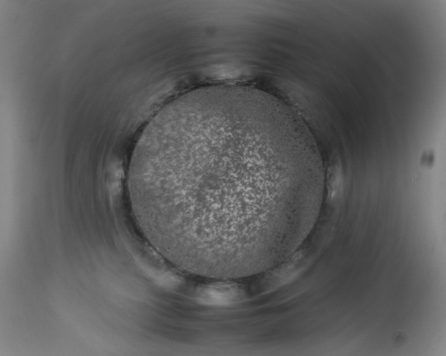 X0000113240279200909241554