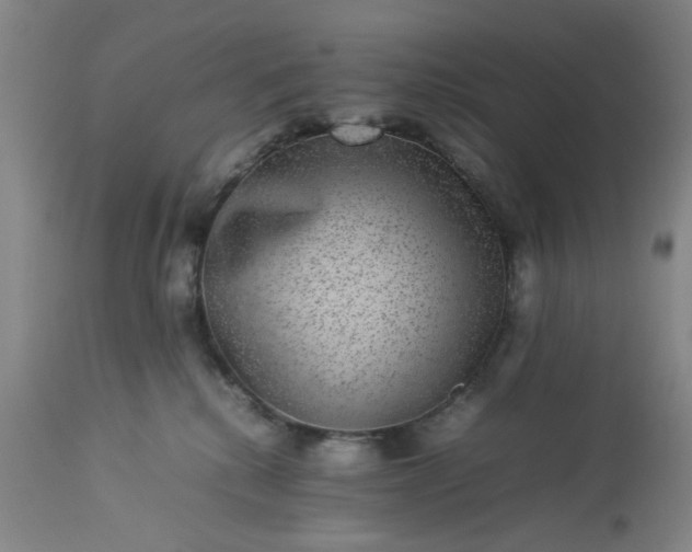 X0000113240280200909241554