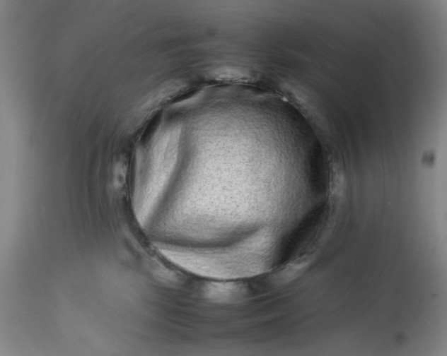 X0000113240281200909241554