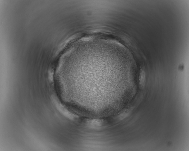 X0000113240282200909241554