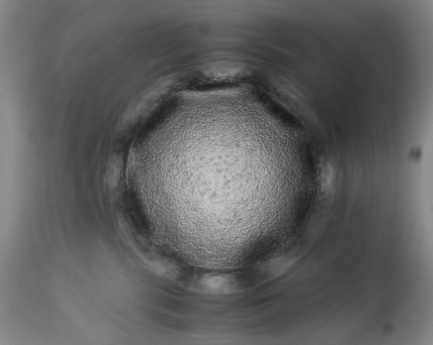 X0000113240283200909241554