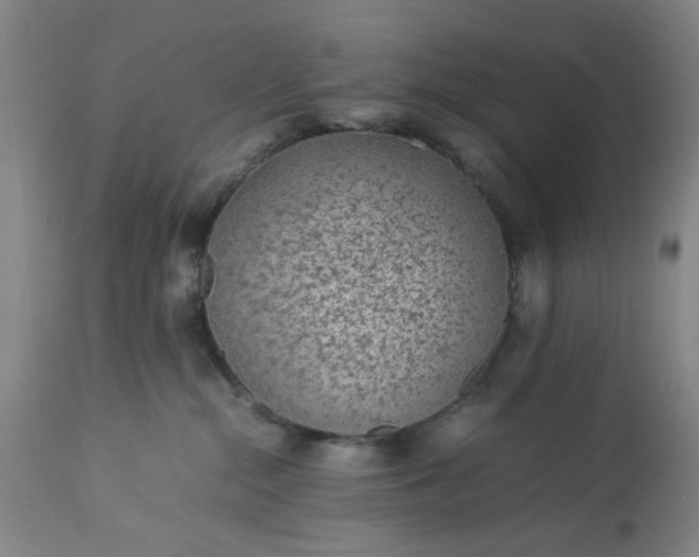 X0000113240284200909241554