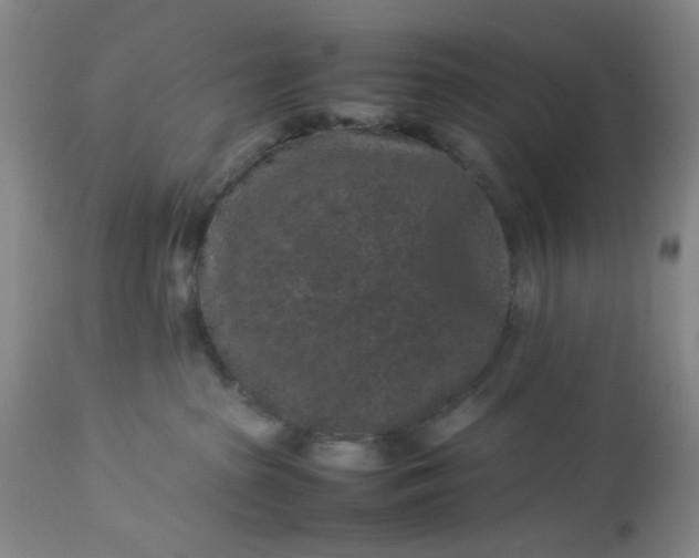 X0000113240285200909241554