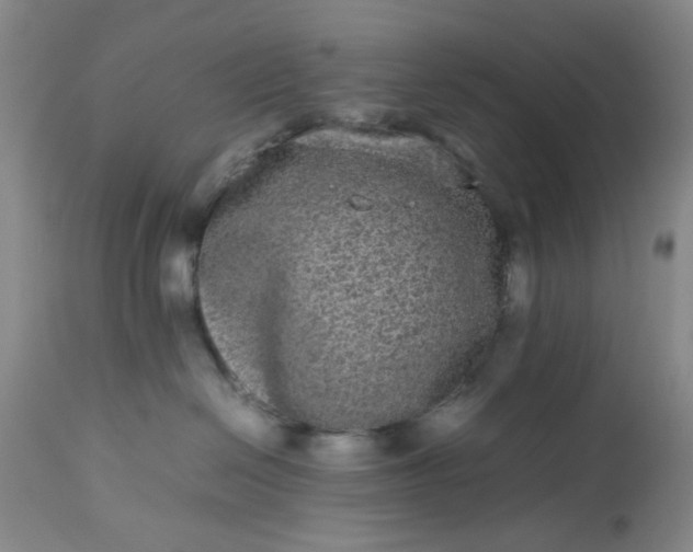 X0000113240286200909241554