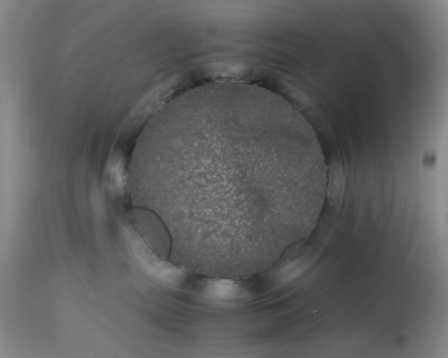 X0000113240287200909241554