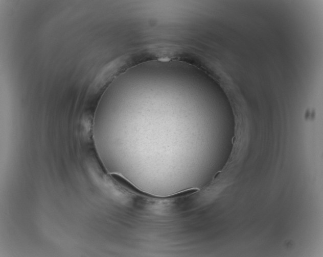 X0000113240288200909241554