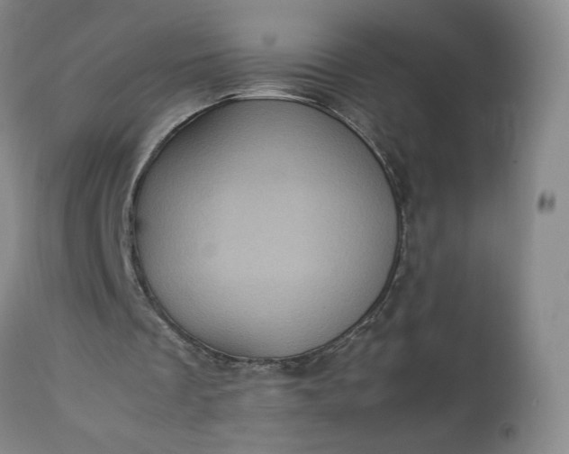 X0000113240289200909241553