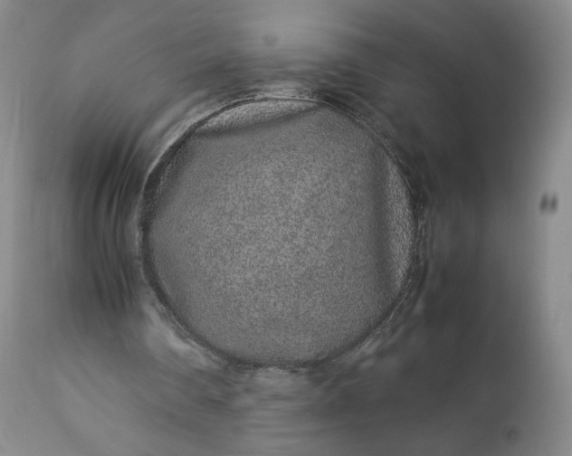 X0000113240290200909241553