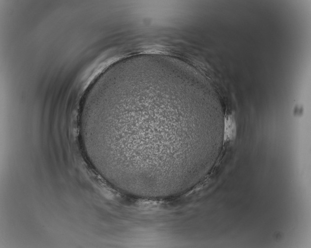 X0000113240291200909241553