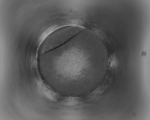 X0000113240292200909241553