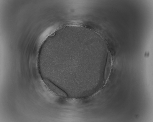 X0000113240293200909241553