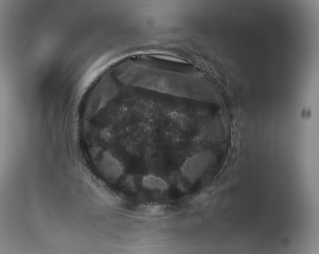 X0000113240295200909241553