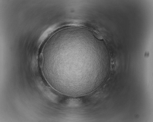 X0000113240296200909241553