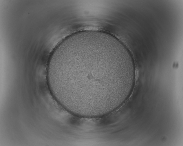 X0000113240297200909241553