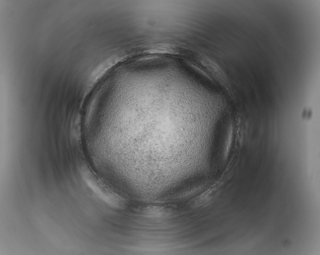 X0000113240298200909241553