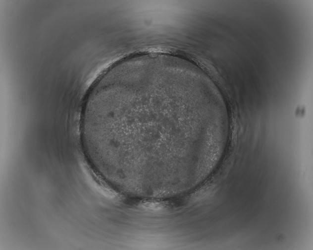 X0000113240299200909241553