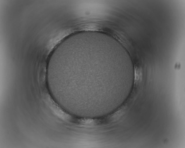 X0000113240301200909241553