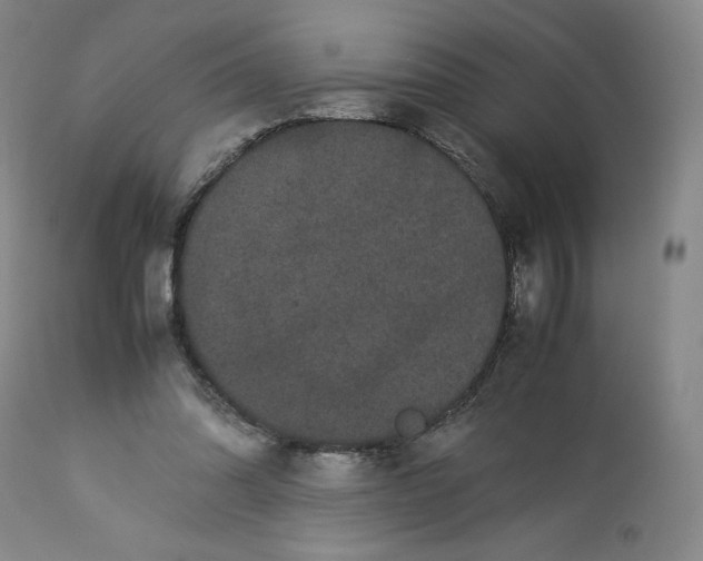 X0000113240302200909241553