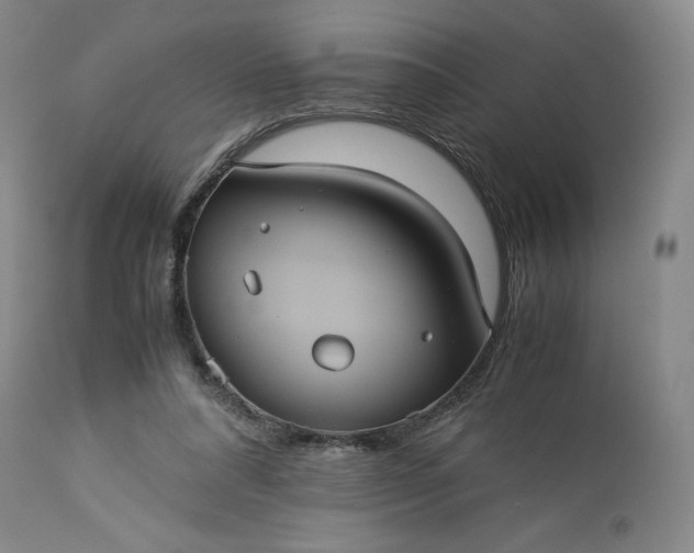 X0000113240304200909241553