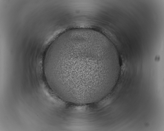 X0000113240306200909241553