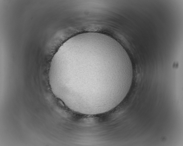 X0000113240307200909241553