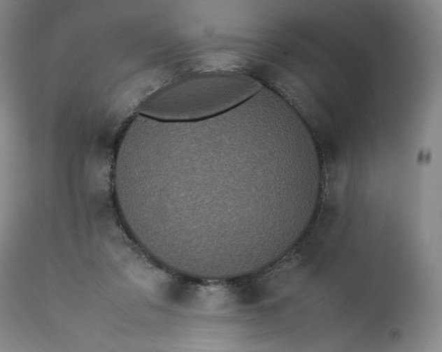 X0000113240309200909241553