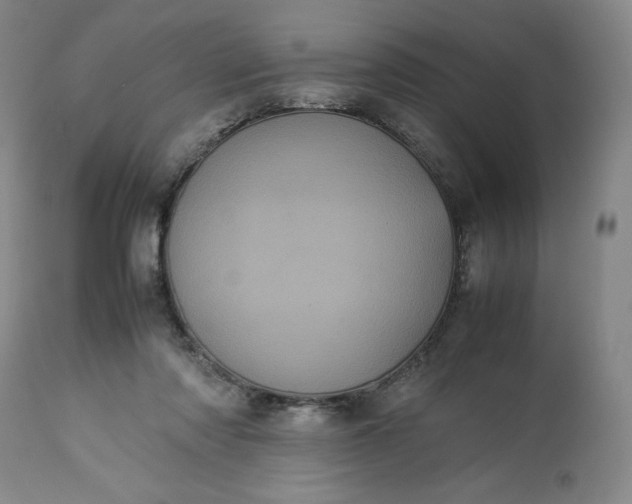 X0000113240310200909241553