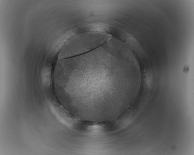 X0000113240312200909241553