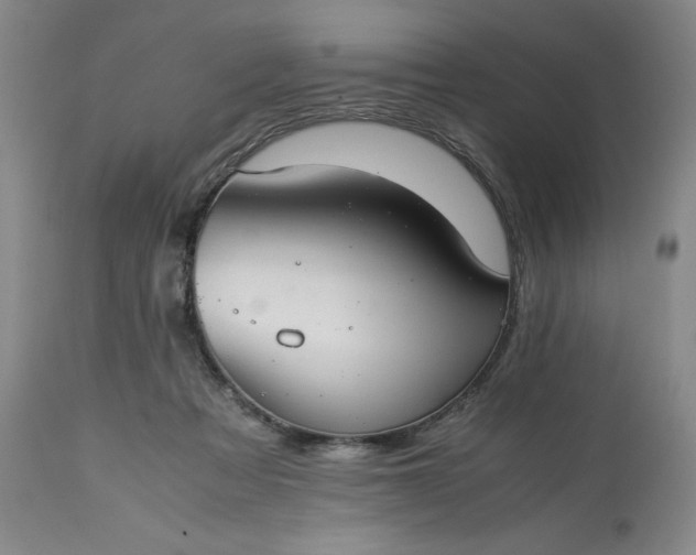 X0000113240313200909241553