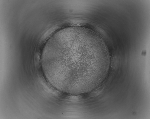 X0000113240314200909241553