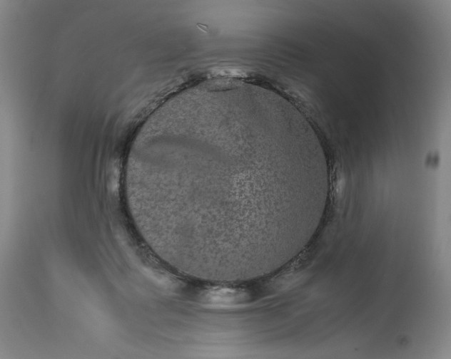 X0000113240315200909241553