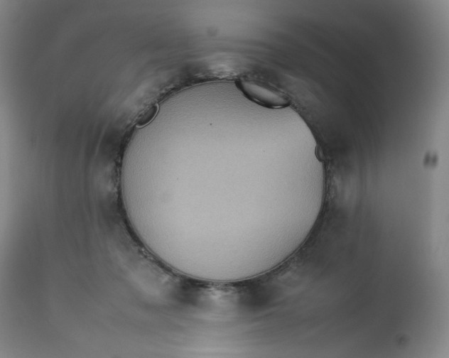 X0000113240317200909241553