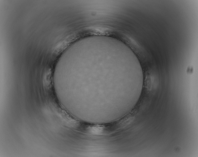 X0000113240318200909241553