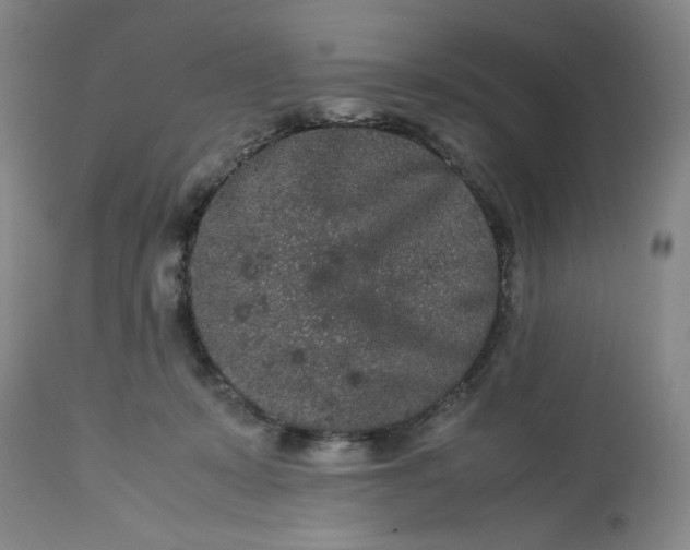 X0000113240319200909241553