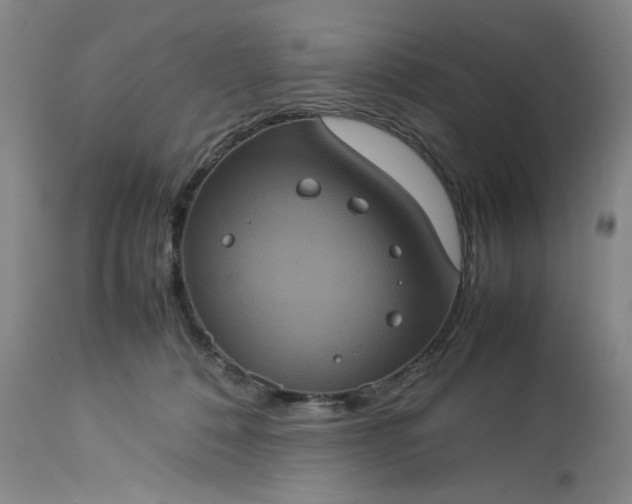 X0000113240320200909241553