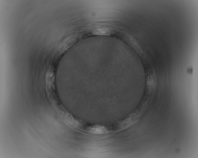 X0000113240322200909241553