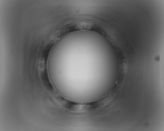 X0000113240323200909241553