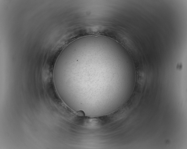 X0000113240324200909241553