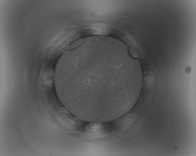 X0000113240325200909241553