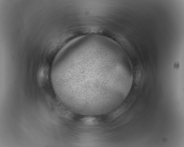 X0000113240326200909241553