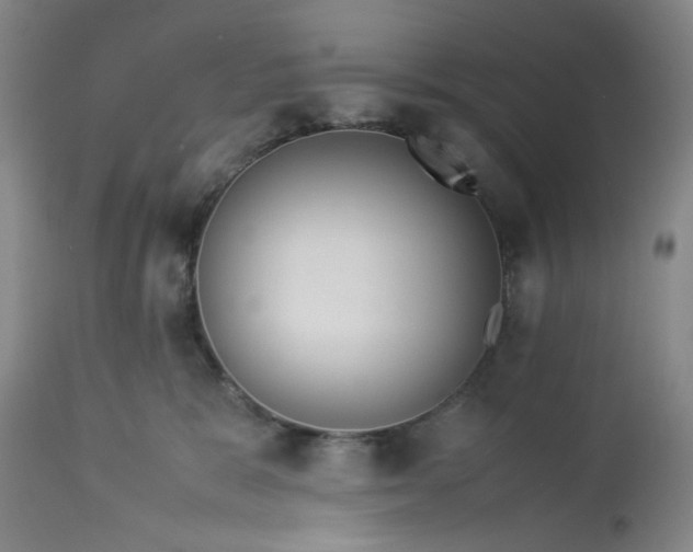 X0000113240327200909241553