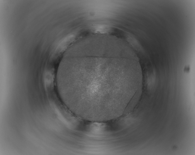 X0000113240328200909241553